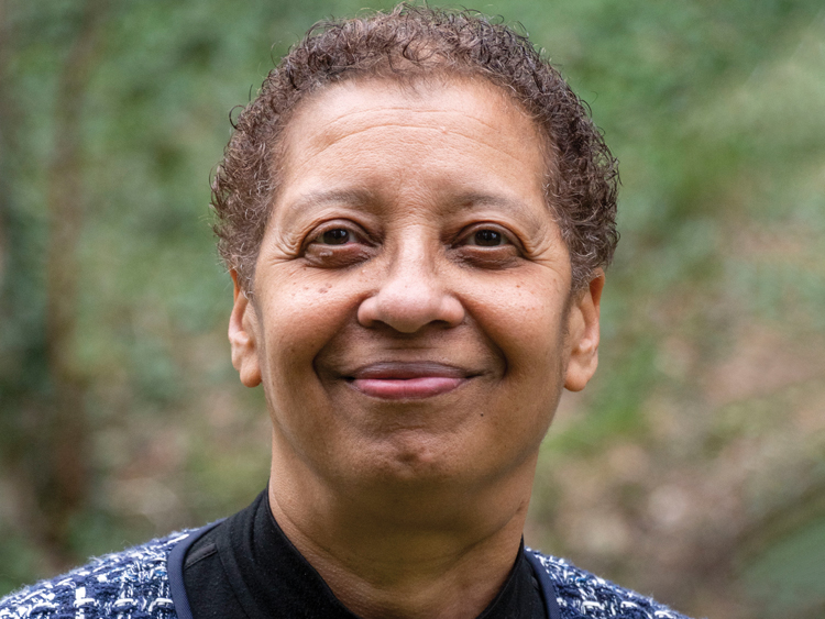 Mary Pugh of Pugh Capital Management named one of P&I's Influential