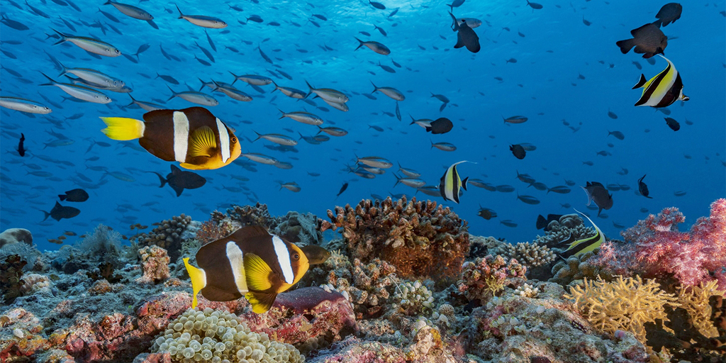 U.K. pension funds slow to invest in biodiversity - report - Vimarsana News