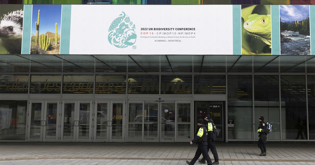Financial institutions push COP15 negotiators to produce global