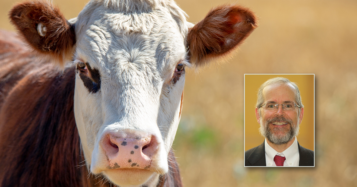 professor 'Cow has left the barn' on spot bitcoin ETFs