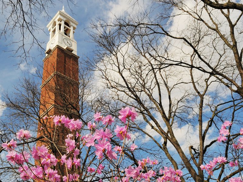 Purdue performance powers on to a net 38.6% return - Vimarsana News