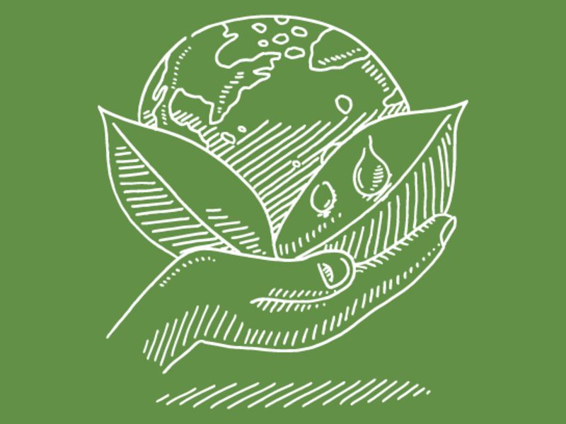 The Institutional Investor's Guide to ESG - Vimarsana News